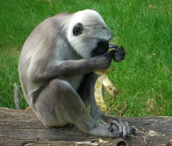 Mein persönliches Highlight - Serengeti-Park Hodenhagen