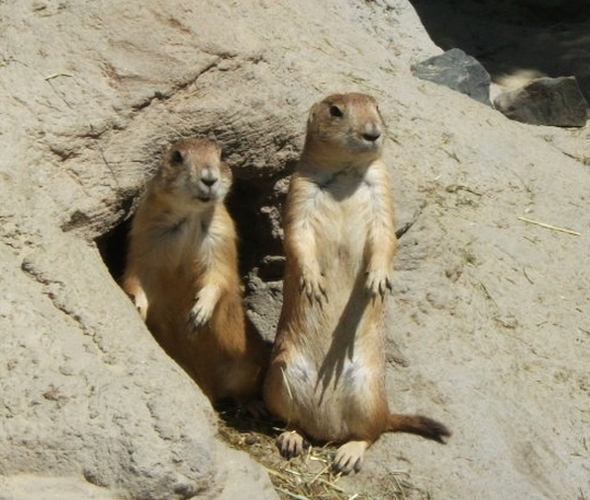 Erlebniszoo Hannover - Ein Name ist Programm