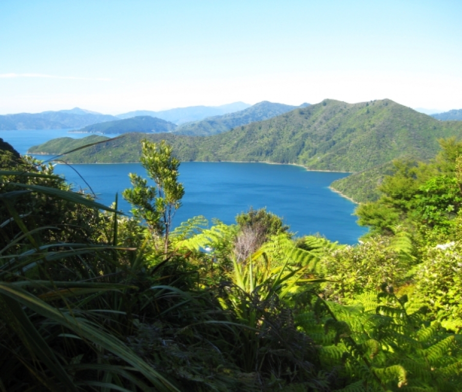 Neuseeland - Das Land der Kiwis